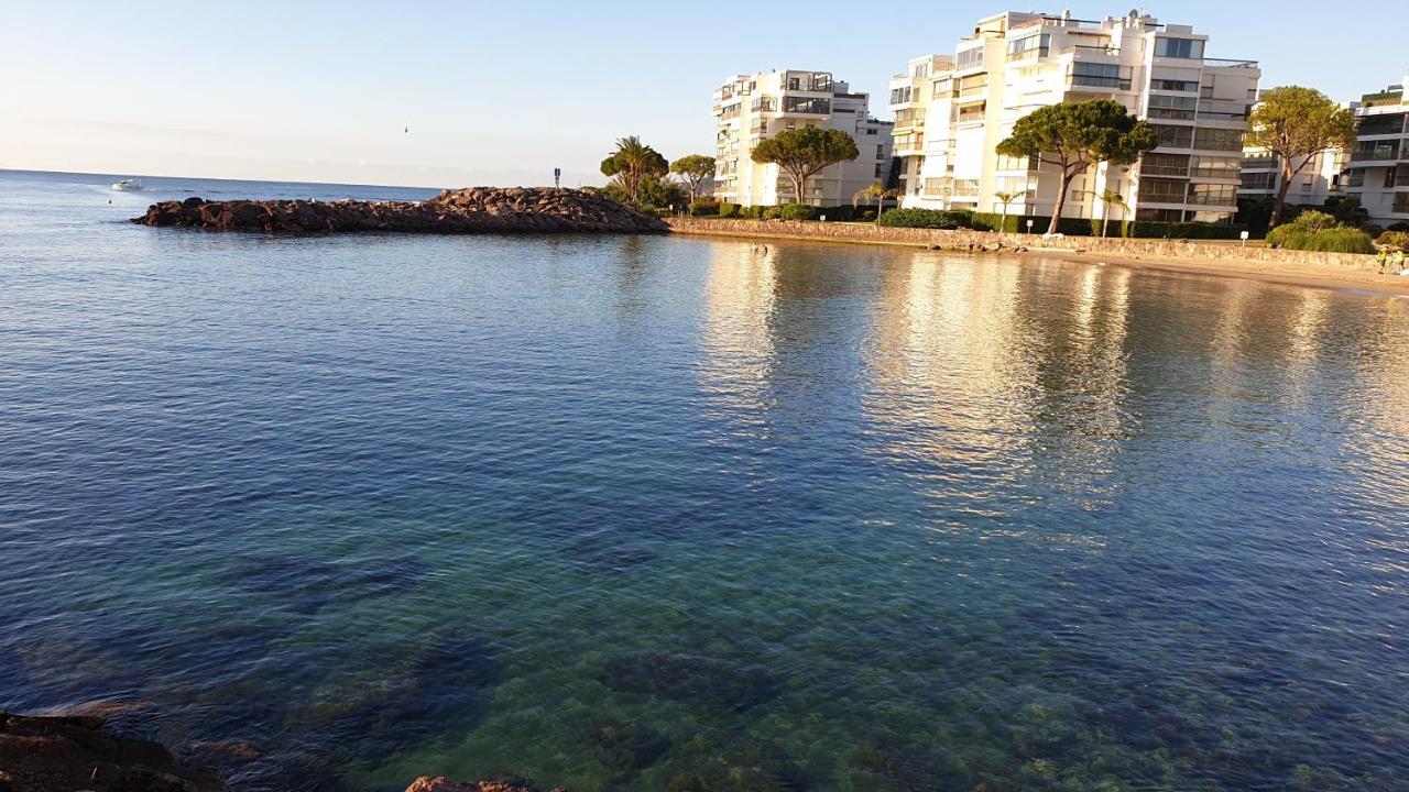 Garden And Beach Sea View Apartment Cannes Mandelieu-la-Napoule Exterior photo
